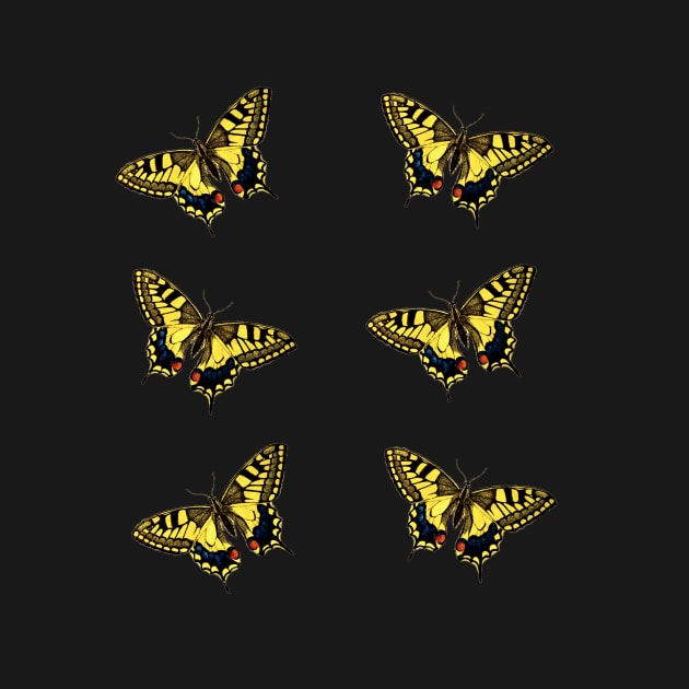 Yellow Swallowtail Butterfly 6 Pack by softbluehum