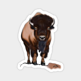 Cute Bison Drawing Magnet