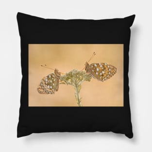 Two Dark Green Fritillaries on a Yarrow Plant Pillow