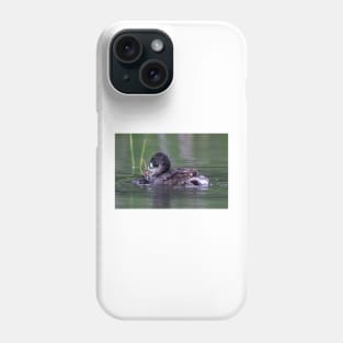 Please Sir, I want some more - Pied-billed Grebes Phone Case