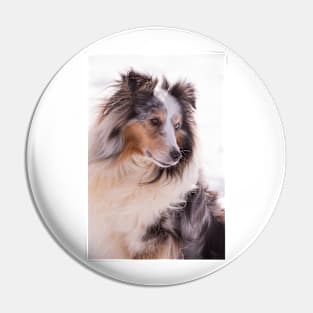 Shetland Sheepdog Portrait Pin