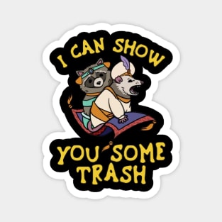 Raccoon I Can Show You Some Trash Magnet