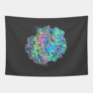 Holographic Fireball Tapestry