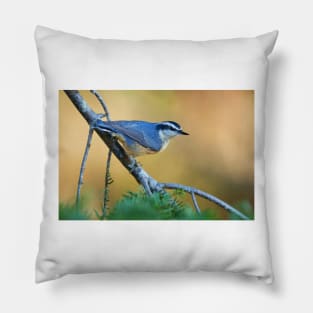 Red-breasted Nuthatch - Algonquin Park, Canada Pillow