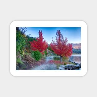 Reflective Beauty: Autumn Trees by the Lake Magnet