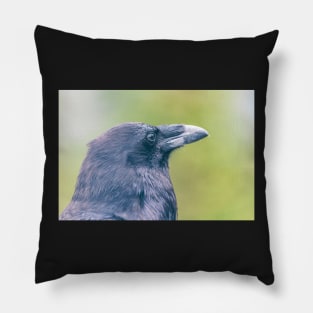 Raven Pillow