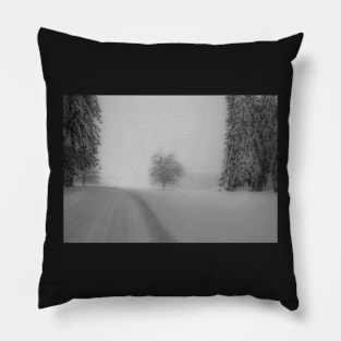 Snow scene Pillow