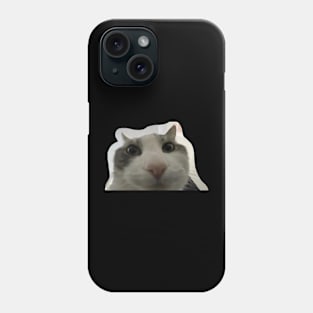 cat looks inside Phone Case