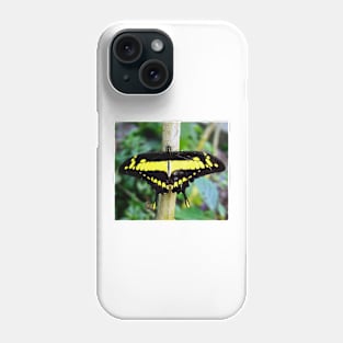 Black and Yellow Butterfly Phone Case