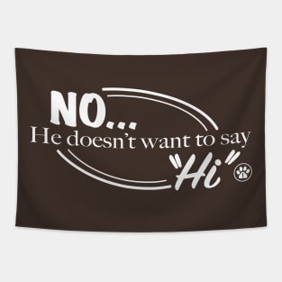 No He Doesn't Want To Say "Hi" - White Version Tapestry