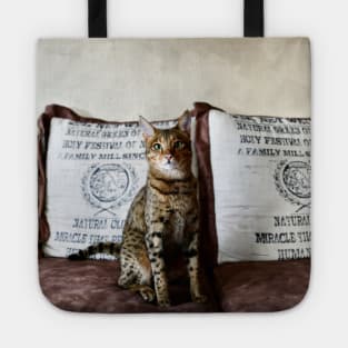 Savannah Cat 2 / Swiss Artwork Photography Tote