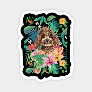 Tropical Chocolate Toy Poodle Magnet