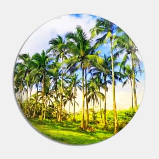 Beautiful coconut tree Pin