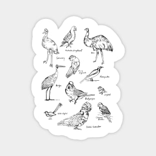 Australian Birds Magnet