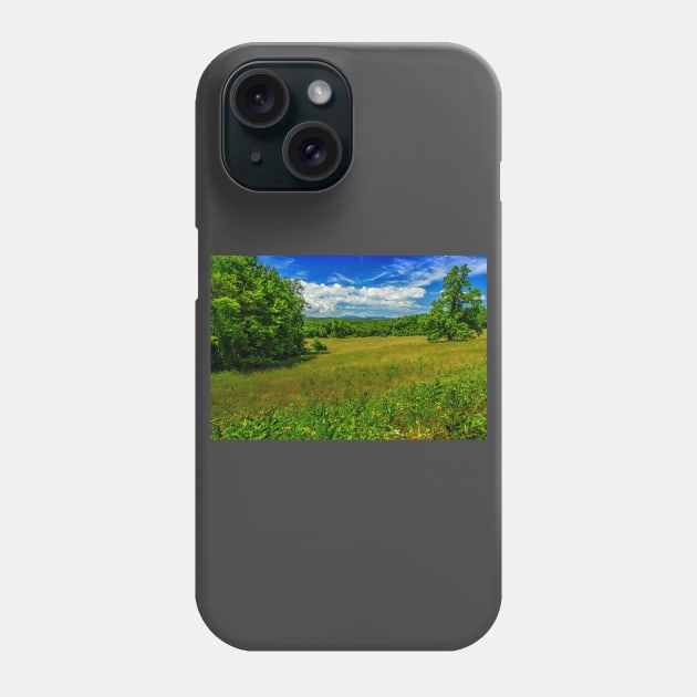 Virginia Summer Meadow Phone Case by Gestalt Imagery