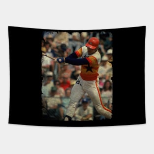 Terry Puhl in Houston Astros Tapestry