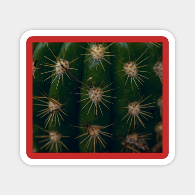 Red cactus Magnet by daghlashassan