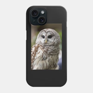 Barred Owl Portrait Phone Case