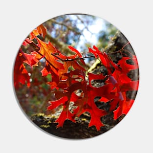 A Touch of Autumn Pin