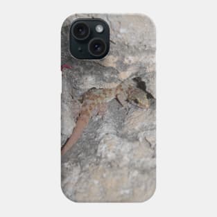 Mediterranean House Gecko. Phone Case