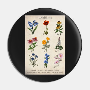 Vintage Floral Wildflower Illustrations Pin