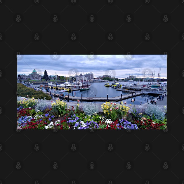 Victoria, British Columbia by kchase