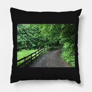 Country Road Pillow