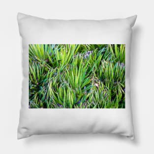 Dana Point Greenery Pillow