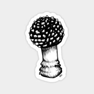 Amanita Regalis, the King of Sweden Amanita Magnet