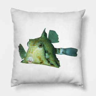 Boxfish | Cute fish to smooch | Pillow