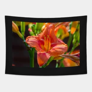 Regent Square Day Lily 2019 Tapestry
