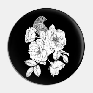 A bird among White Roses Pin