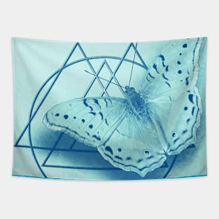 Butterfly in an abstract landscape Tapestry