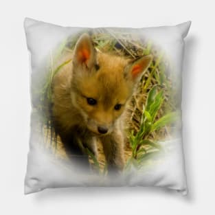 Red fox cub Pillow