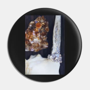 Citrine and Bone Pin