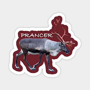 Prancer Magnet