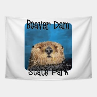 Beaver Dam State Park, Illinois Tapestry