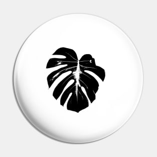 monstera leaf on white background closeup Pin