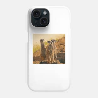 Compare the Meerkats Phone Case