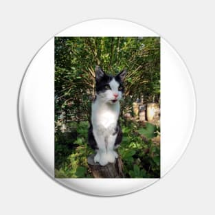 Robby the cat Pin