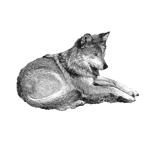 Wolf by Guardi