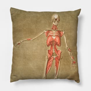 Skeleton Front and Back Shirt 2 Sided Pillow