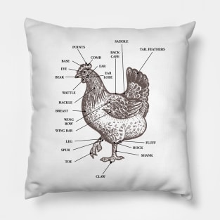 Chicken Anatomy Vintage Funny Cute Pillow