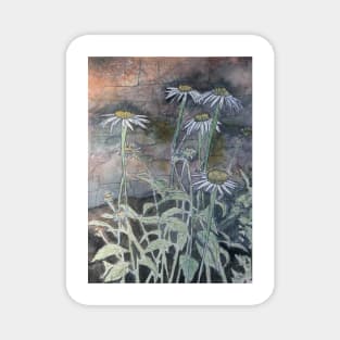 daisy flowers painting Magnet