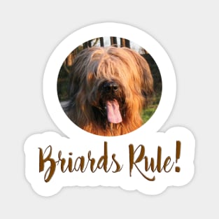 Briards Rule! Magnet