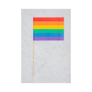 Bandeira Lgbt T-Shirt