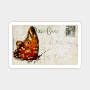 Butterfly Postcard Magnet