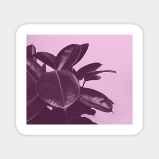 Lilac hued botanical Magnet