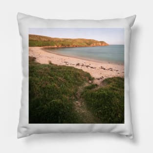 Beach Path Pillow