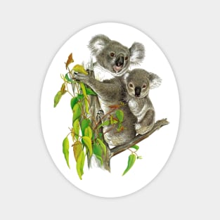 Koala Mother and Baby Magnet